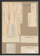 Synedra ulna var. splendens (Kuetz). Brun. (de-Toni-Nr.: Genus 66, Species 2584) Zeichnungen Sammlung Grunow Nr. 5235 (NHMW-BOT-W0373606)